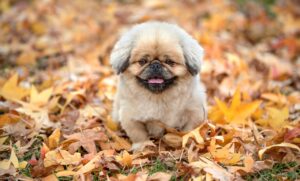 年俸制で残業代なしの働き方はどのようなメリットがあるのか？