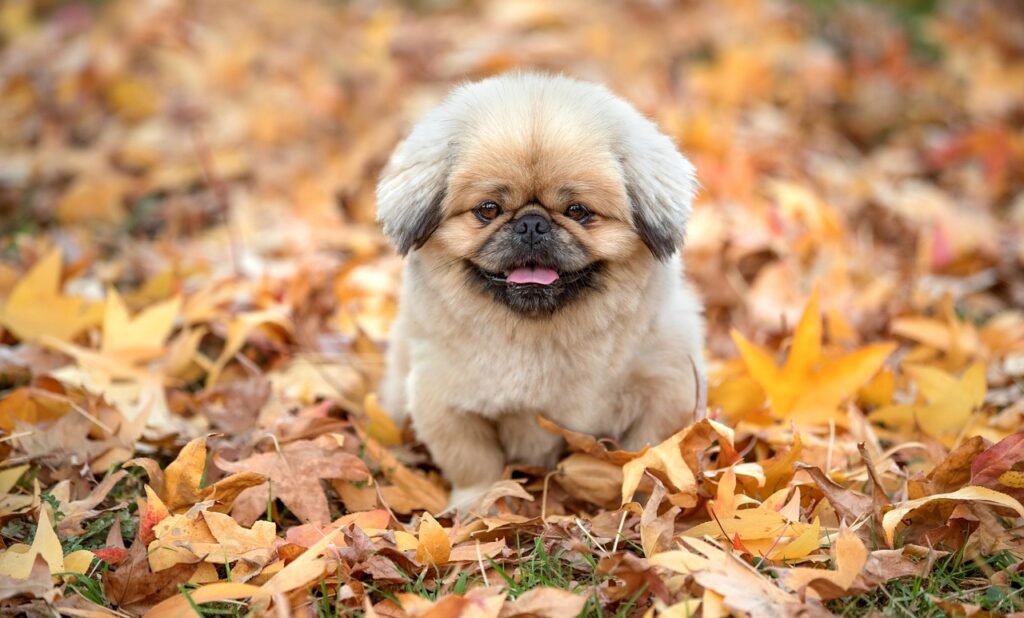 働き方改革における法令の影響を働く人々はどう受け止めているのか？