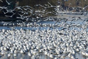 残業ゼロを実現するシステムエンジニアの働き方とは？