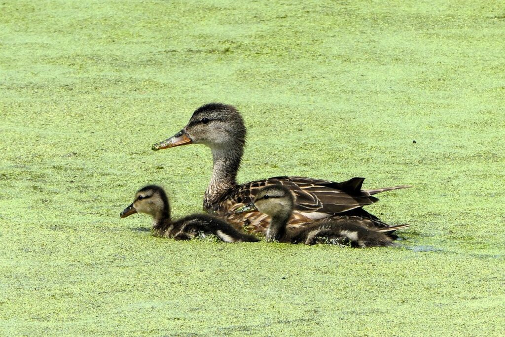 育児サポートを提供する企業への転職はどのように進めるべき？