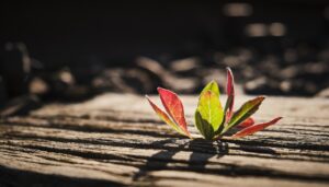 18時定時帰りの仕事を実現するためのポイントは？