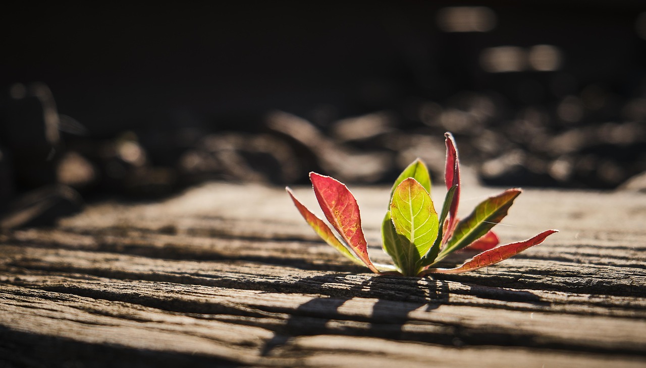 18時定時帰りの仕事を実現するためのポイントは？