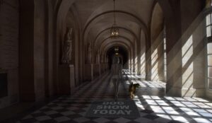 残業ゼロの実現に向けて会社HPを見るべきポイントは？