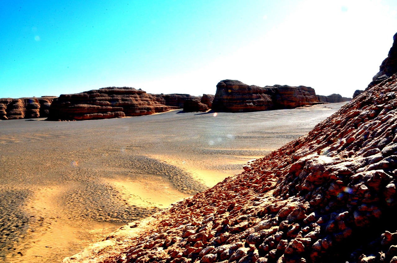 残業少ない職種への転職でおすすめの選択肢は？