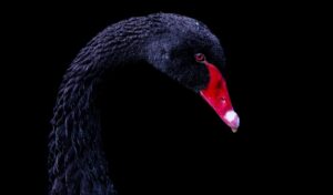 マイナビブラックの評判やメリットは何ですか？