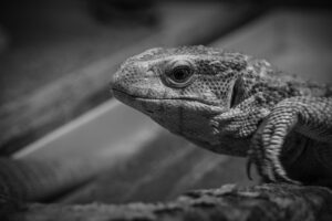 残業ゼロを実現するためのキャリア相談のおすすめは？