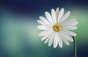 定時で帰れる正社員の転職に成功するためのポイントは？