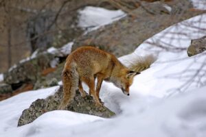残業ゼロの転職成功事例とは？